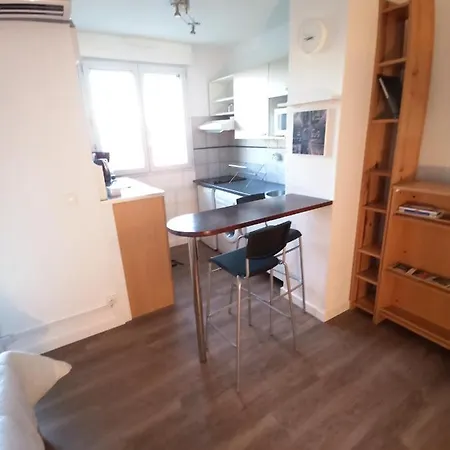 Santa Monica - Climatise - Piscine - Parking Apartament